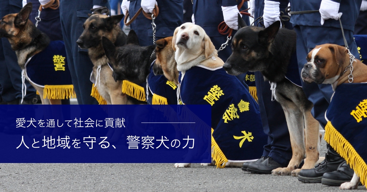 犬名一覧 - 日本警察犬協会